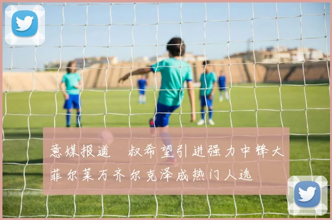 意媒报道囧叔希望引进强力中锋大菲尔莱万齐尔克泽成热门人选